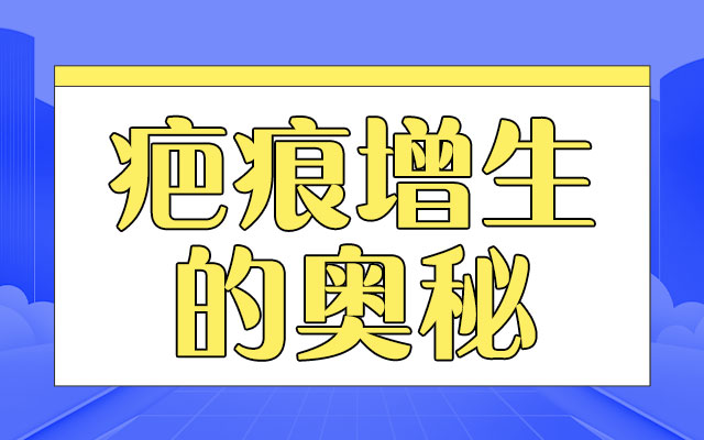 ൺƤҽԺа̺